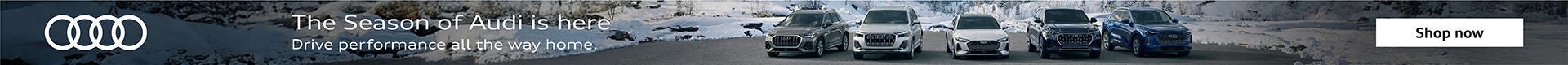 Season of Audi in the snow 